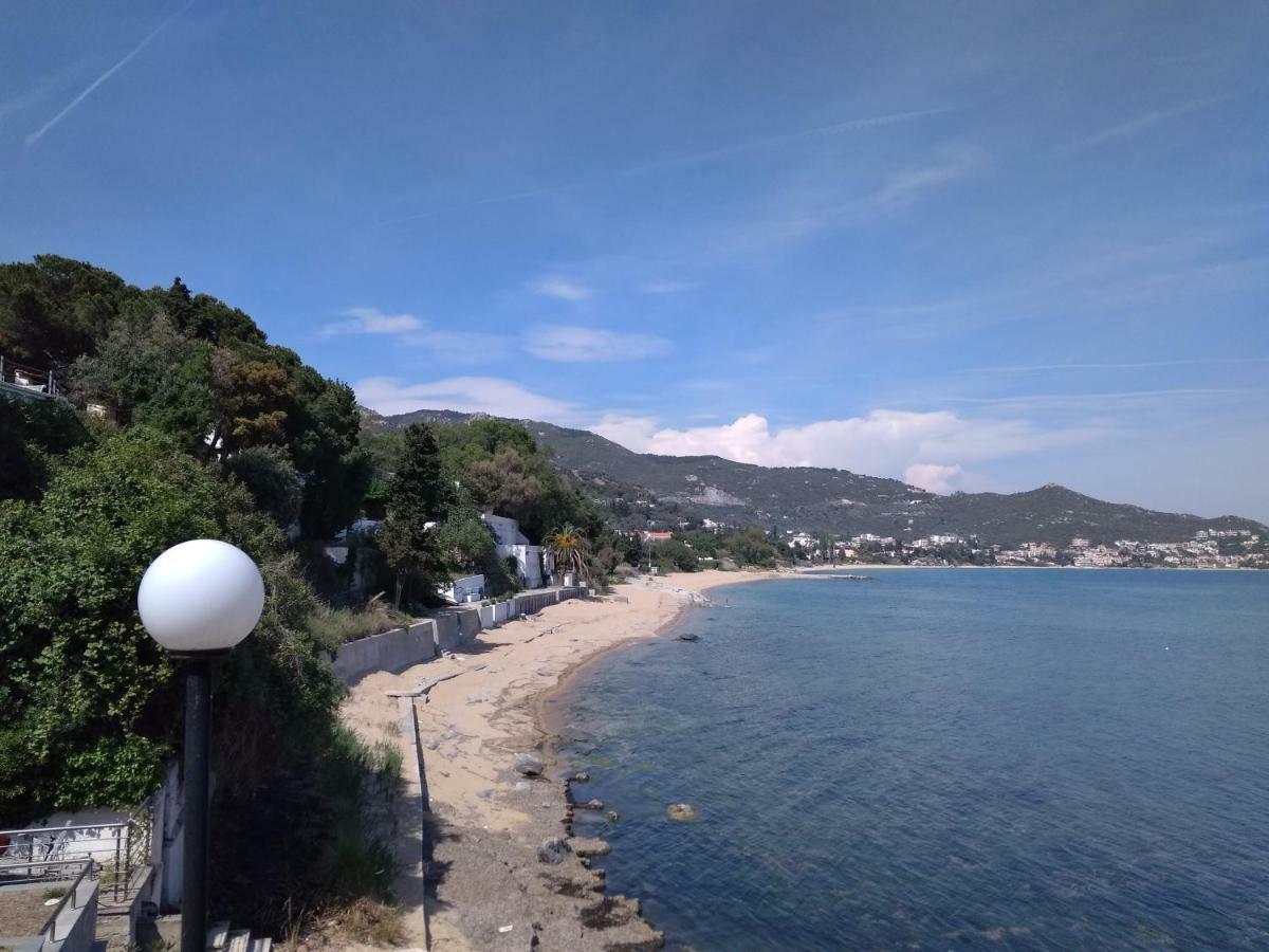 Evaliana Seaside Apartment PalaiónTsiflíkion Dış mekan fotoğraf